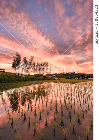 燃えるような夕空と田園が織りなす幻想的な風景 燃えるような夕空と田園が織りなす幻想的な風景 138504523