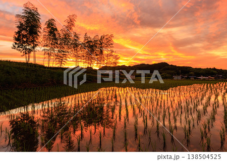 日本の田舎風景 夕焼け空と水鏡の穏やかな時間 138504525