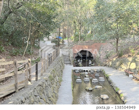 静岡県・柿田川湧水の透明な流れ 138504949