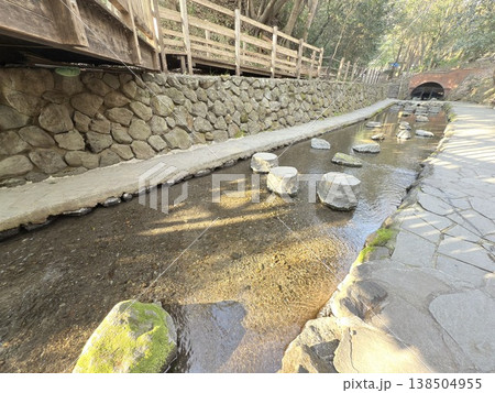 静岡県・柿田川湧水の透明な流れ 静岡県・柿田川湧水の透明な流れ 138504955