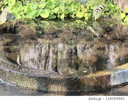 静岡県・柿田川湧水の透明な流れ 静岡県・柿田川湧水の透明な流れ 138504981