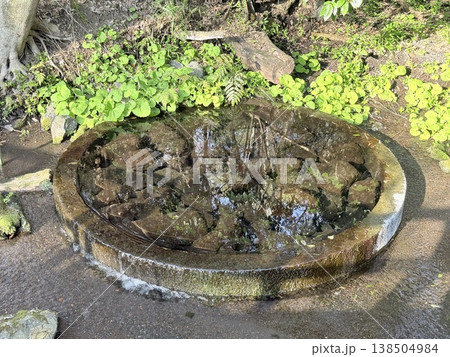 静岡県・柿田川湧水の透明な流れ 138504984
