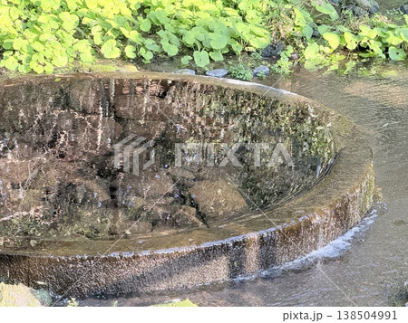静岡県・柿田川湧水の透明な流れ 静岡県・柿田川湧水の透明な流れ 138504991