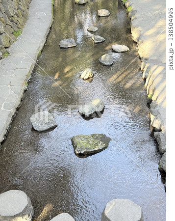 静岡県・柿田川湧水の透明な流れ 静岡県・柿田川湧水の透明な流れ 138504995
