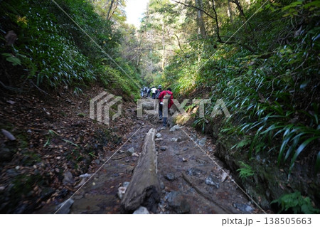 登山道を行く 138505663