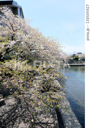 岐阜県大垣市_奥の細道むすびの地35_2025年4月 138505927