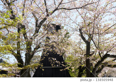 岐阜県大垣市_奥の細道むすびの地56_2025年4月 岐阜県大垣市_奥の細道むすびの地56_2025年4月 138505948