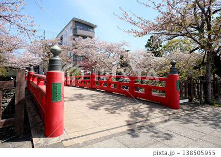 岐阜県大垣市_奥の細道むすびの地63_2025年4月 138505955