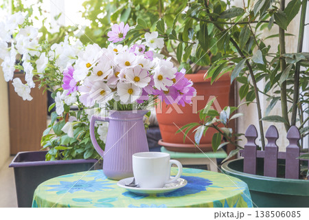 White cup of coffee or tea, bouquet of white and pink cosmos flowers on a table in a patio 138506085