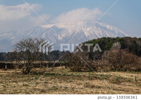 雪が溶けて遅い北国の春がやってきた小岩井農業の牧草地と神々しい岩手山 138506361