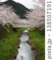 山口県山口市の桜の名所「一の坂川」で撮影した、満開の桜並木とシラサギの飛翔シーンです。情緒あふれる川 138507191