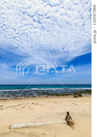流木と砂浜、うろこ雲が広がる青い海の風景 流木と砂浜、うろこ雲が広がる青い海の風景 138507866
