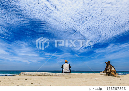 うろこ雲の空と海を眺める人物、流木に座る静かな海岸風景 138507868