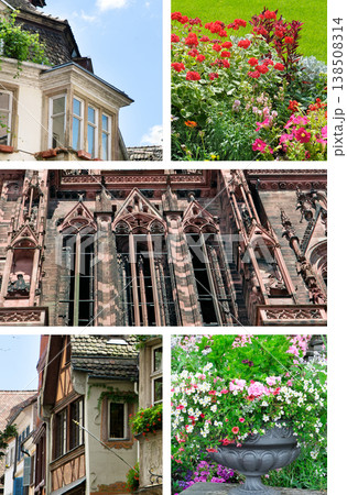Vertical collage of Strasbourg views featuring gothic cathedral details, traditional timber framed houses, and vibrant blooming summer gardens with colorful flowers in France. 138508314