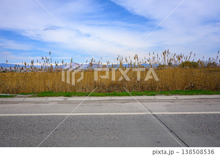 Open landscape with dry grasses beside asphalt road, peaceful and serene 138508536