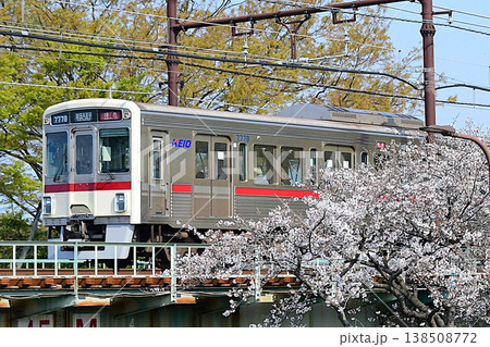 京王7000系7728F復刻臙脂帯と桜 京王7000系7728F復刻臙脂帯と桜 138508772