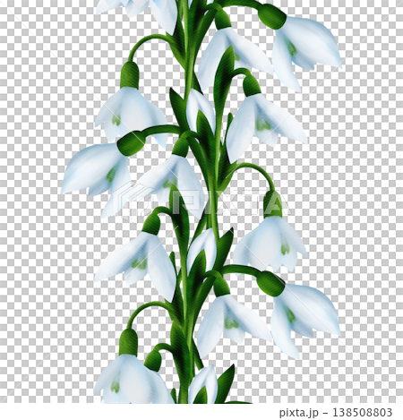 White snowdrops, green branches, splashes. Seamless floral botanical border. Digital watercolor hand drawn White snowdrops, green branches, splashes. Seamless floral botanical border. Digital watercolor hand drawn 138508803