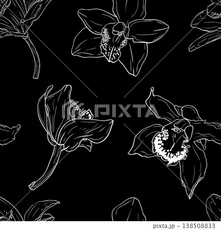 Vanilla flower, orchid phalaenopsis with large petals. Monochrome botanical seamless pattern. Graphic line art hand drawn ink vector. Good for decoration of cooking, menu, decor, stickers Vanilla flower, orchid phalaenopsis with large petals. Monochrome botanical seamless pattern. Graphic line art hand drawn ink vector. Good for decoration of cooking, menu, decor, stickers 138508833