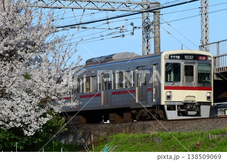 京王7000系7728F復刻臙脂帯と桜 138509069