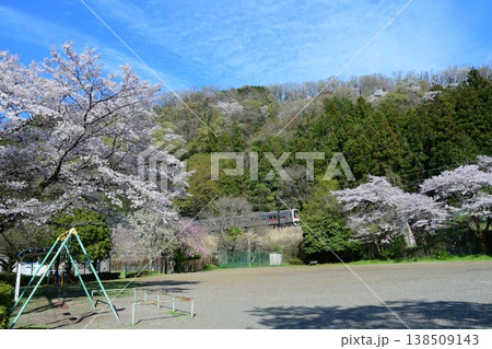 京王7000系7728F復刻臙脂帯と桜 京王7000系7728F復刻臙脂帯と桜 138509143