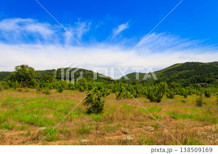 View of the Balkan mountains in Bulgaria 138509169