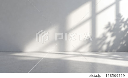 Minimalist empty room interior with sunlight shadows on white wall Minimalist empty room interior with sunlight shadows on white wall 138509329