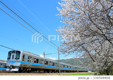 小田急1000形更新後1093Fと桜 小田急1000形更新後1093Fと桜 138509408