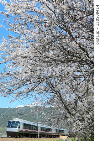 小田急30000形EXEαと桜 138509414