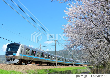小田急5000形5060Fと桜 小田急5000形5060Fと桜 138509458