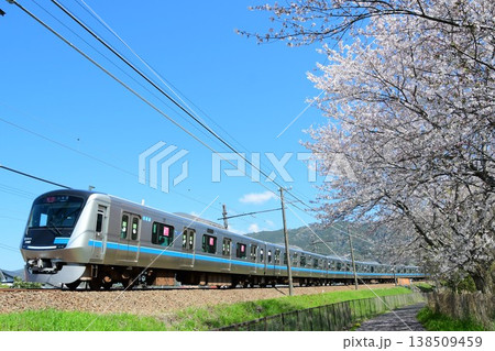小田急5000形2代目5060Fと桜 小田急5000形2代目5060Fと桜 138509459