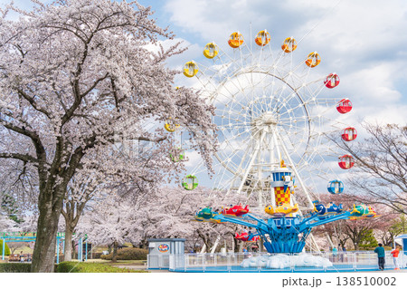 「青森県」八戸公園・子供の国 春の風景　八戸市 138510002