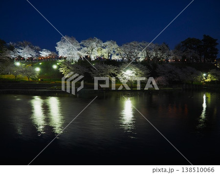 ライトアップされた夜桜 ライトアップされた夜桜 138510066