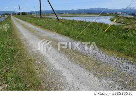 農道と田園風景 山形県庄内 138510516