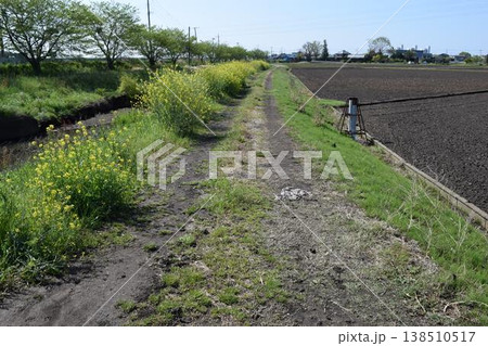 農道と田園風景 山形県庄内 農道と田園風景 山形県庄内 138510517