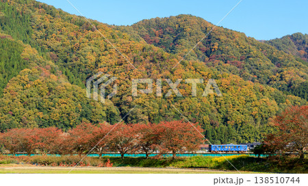 色鮮やかな紅葉を背景に若桜鉄道の気動車が第2八東川橋梁を走り抜ける 色鮮やかな紅葉を背景に若桜鉄道の気動車が第2八東川橋梁を走り抜ける 138510744
