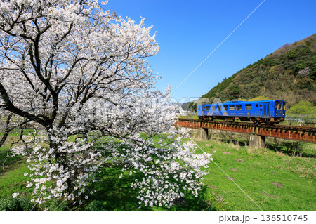 満開の桜が咲く第3八東川橋梁を走り抜ける若桜鉄道のレトロな気動車(その1) 満開の桜が咲く第3八東川橋梁を走り抜ける若桜鉄道のレトロな気動車(その1) 138510745