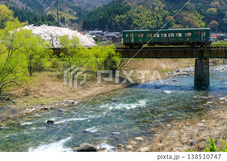 河原に満開の桜が咲く八東川を渡る若桜鉄道のレトロな気動車 河原に満開の桜が咲く八東川を渡る若桜鉄道のレトロな気動車 138510747