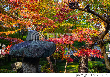 真っ赤な紅葉 真っ赤な紅葉 138511283