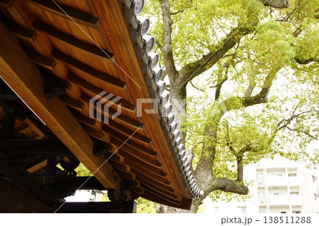 お寺の境内にある建物の軒 お寺の境内にある建物の軒 138511288