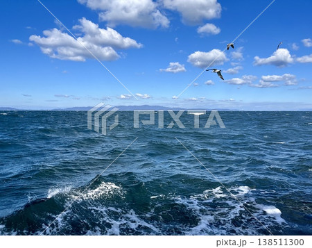フェリーから望む荒波とカモメが舞う青い海 138511300