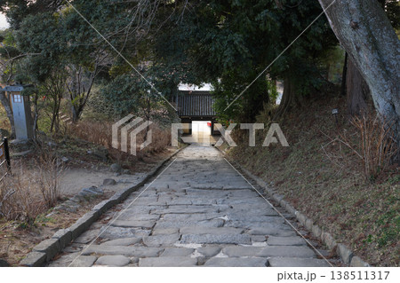 桜川市 雨引山 楽法寺 磴道 快晴 桜川市 雨引山 楽法寺 磴道 快晴 138511317