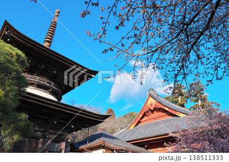 桜川市 雨引山 楽法寺 雨引観音 本堂と多宝塔 快晴 桜川市 雨引山 楽法寺 雨引観音 本堂と多宝塔 快晴 138511333
