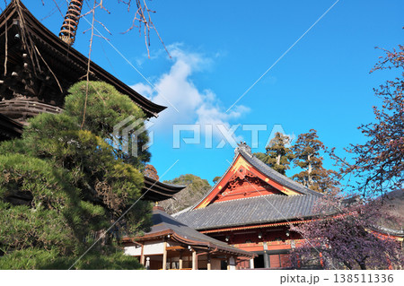 桜川市 雨引山 楽法寺 雨引観音 本堂と多宝塔 快晴 桜川市 雨引山 楽法寺 雨引観音 本堂と多宝塔 快晴 138511336