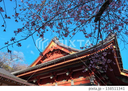 桜川市　雨引山　楽法寺　雨引観音　本堂　快晴 138511341