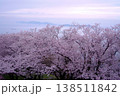 霞の空と桜と瀬戸内海 138511842