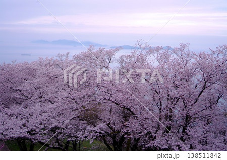 霞の空と桜と瀬戸内海 霞の空と桜と瀬戸内海 138511842