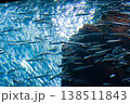 魚群と海 138511843