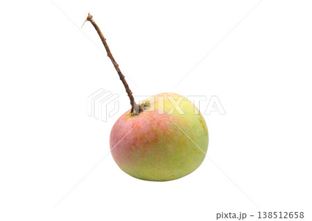 Apple Mangoisolated 138512658