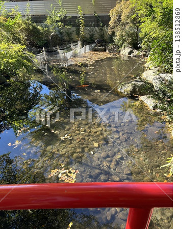 埼玉県秩父市の神社、秩父今宮神社の赤い欄干の橋から見た池、龍神池です。 138512869