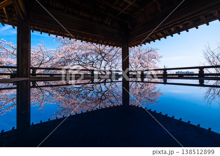 三井寺の観月舞台　床に映る桜 138512899